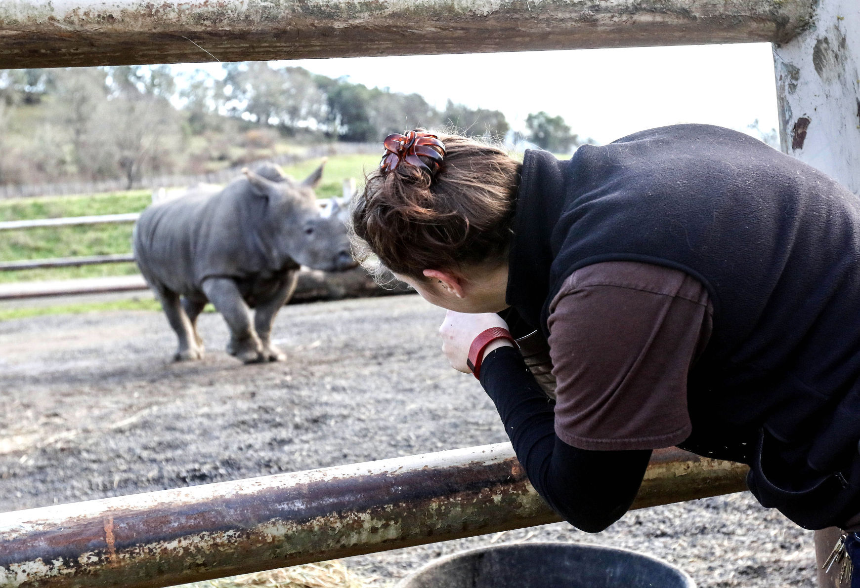 161222-nrr-rhino-02